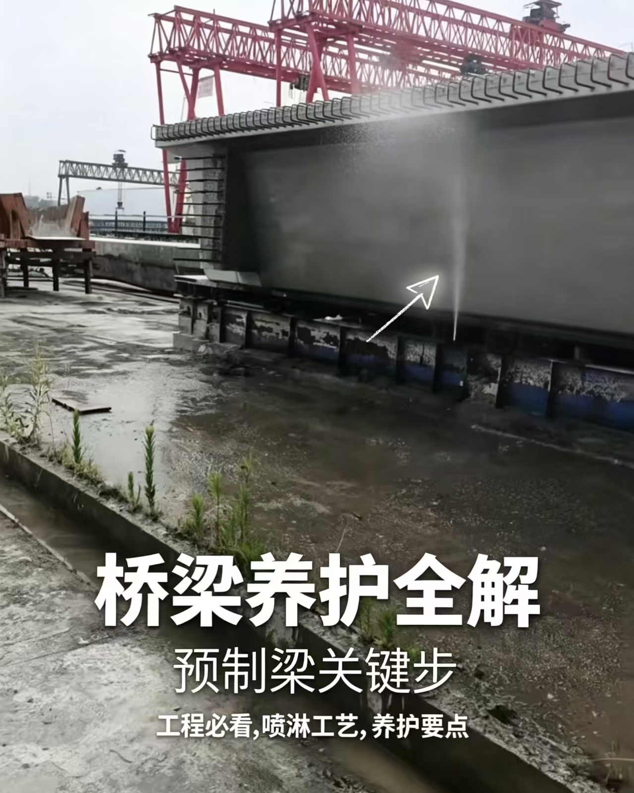 视频预览